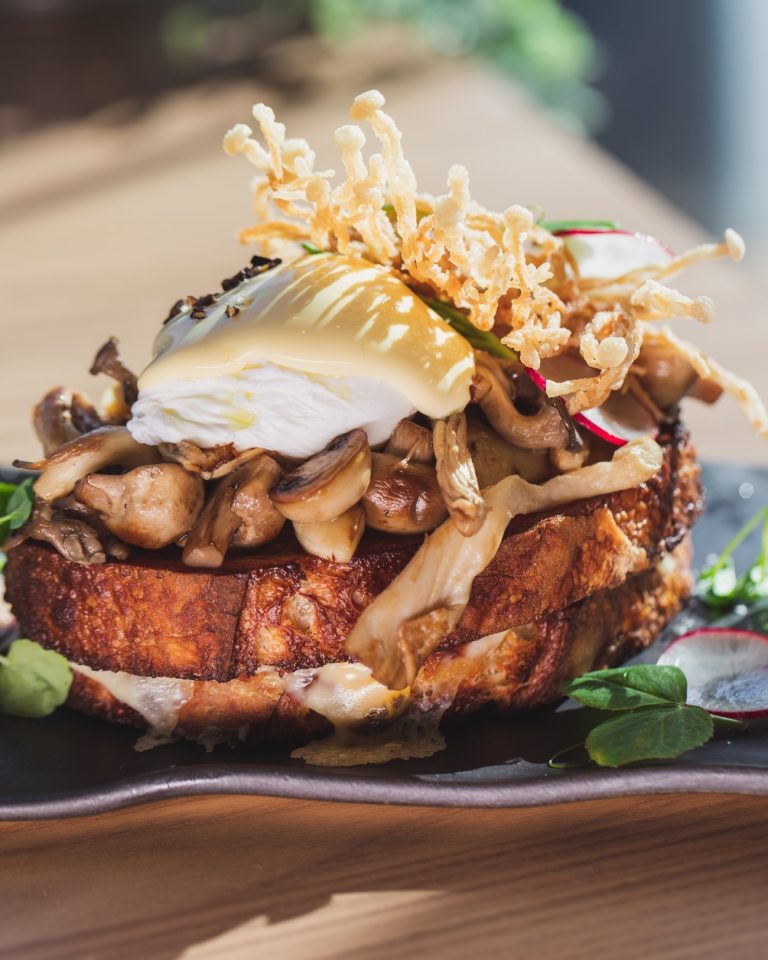 242258945 397500485092275 526200988830350117 n 768x960