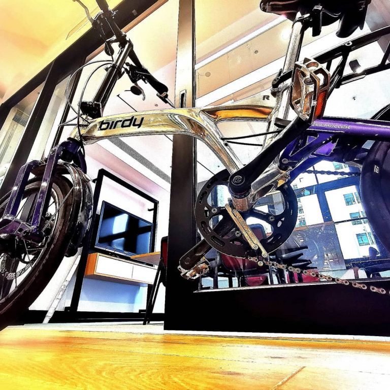 56555951 2015341838574225 1970807028657946624 n 768x768