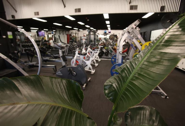 103303205 1175133112840779 9213611392447577823 n 768x523